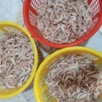 غذای دریایی