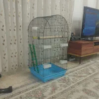 قفس پرنده با تمام وسایل