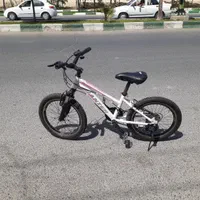 دوچرخه۲۰ سالم