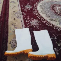 چکمه|کیف، کفش، کمربند|گرگان, |دیوار