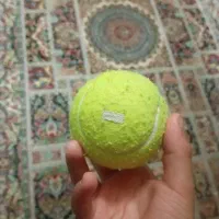 توپ تنیس