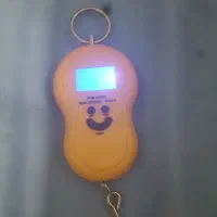 اسپیکر،رادیو،چراغ قوه -- و ترازوی دیجیتالی|پخش‌کننده همراه|بندرعباس, |دیوار