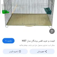 قفس قناری یا مرغ عشق