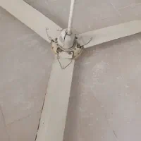 پنکه سقفی|پنکه و تصفیهکنندهٔ هوا|رشت, دیانتی|دیوار