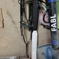 زین و تجهیزات جانبی استفاده نشده اکبند|اسب و تجهیزات اسبسواری|گلپایگان, |دیوار