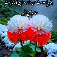 منشی خانم جهت دفتر وکیل