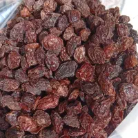 آلو بخارا بوانات|خوردنی و آشامیدنی|شیراز, دارالرحمه|دیوار