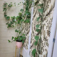 آپارتمان ۵۰متری، بهاران واوان
