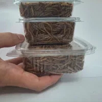 میلورم خشک شده درجه یک