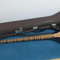 سه تار (حرفه ای)