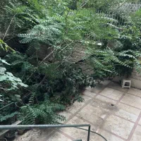 ۳۸۰ متر کلنگی بر نیاوران دوکله اوکازیون بر ۱۵