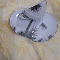 ظروف سرو