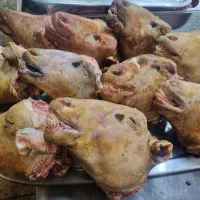 کله بره وبزغاله ریز