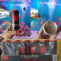 انرژی زا فیلکونا