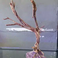 دکور آکواریوم سنگ و چوب طبیعی|ماهی|کرمان, |دیوار