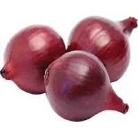 پیاز نورابا ممسنی