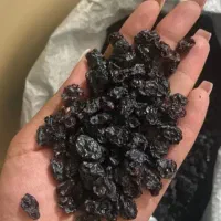 بادام|خوردنی و آشامیدنی|شیراز, تندگویان|دیوار