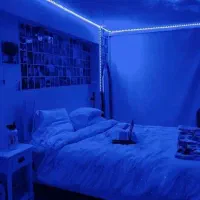 ریسه ال ای دی|ریسه و چراغ تزئینی|یاسوج, |دیوار