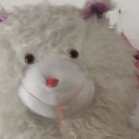 خرس