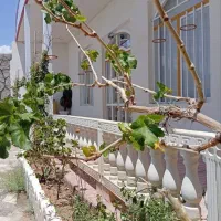 ویلا نقلی در صوفیان کوی میلاد سبز به متراژ 300 متر|فروش خانه و ویلا|صوفیان, |دیوار