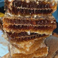 عسل ارگانیک دنا