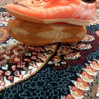 کفش سالن سایز ۴۳|کیف، کفش، کمربند|سراب, |دیوار