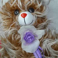 فروش چند عروسک|اسباب‌‌بازی|خرم‌آباد, |دیوار