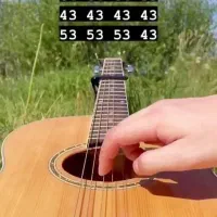 آموزش تخصصی گیتار برای تمام سنین