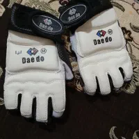 هوگو تکواندو و دستکش|لباس|فومن, |دیوار