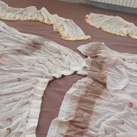 دو عدرر پرده درگاه ۱۶۰ ارتفاع ۱۵۰