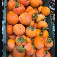 فروش خرمالو|عمده‌فروشی|تبریز, |دیوار