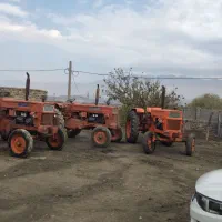 باسلام چهار عدد رومانی سالم به شرط