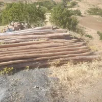 خرید وفروش چوب ‌.خشک.وتر