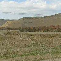 پرستاری از کودک