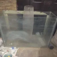 آکواریوم و پمپ