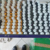 فروش انواع قارچ کش ،افت کش پایه ارگانیک