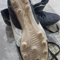 کفش استوک دار چمن|کیف، کفش، کمربند|نورآباد, |دیوار