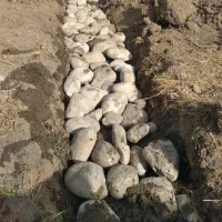 بنایی|خدمات پیشه و مهارت|دزفول, |دیوار