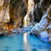 طبیعتگردی
