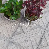 گل طبیعی|گل و گیاه طبیعی|خوی, |دیوار