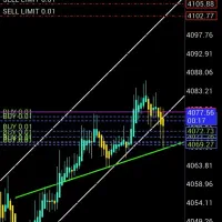 فارکس .مدیریت اکانت
