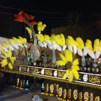 علامت ۱۹ تیغه|کلکسیون اشیاء عتیقه|اسلامشهر, مطهری|دیوار