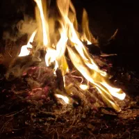 زمین-مناسب-قلعه-و-دامداری