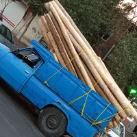 خرید چوب سقفی و تخریب ساختمان