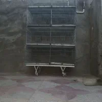 قفس|لوازم جانبی حیوانات|سیرجان, |دیوار