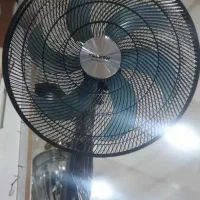پنکه