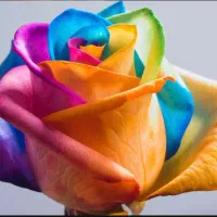 احتیاج به شریک یا سرمایه گذار