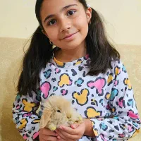 خرگوش لوپ گرجستانی|موش و خرگوش|گرگان, |دیوار