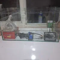 آکواریوم سایزمتوسط|ماهی|مشهد, فریزی|دیوار