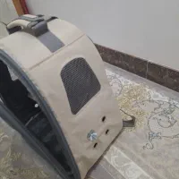 کیف پرنده|لوازم جانبی حیوانات|قرچک, زیبا شهر|دیوار